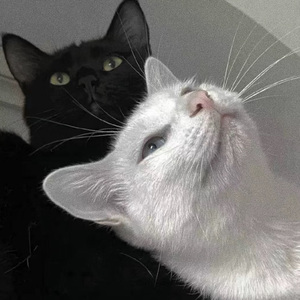 淑芬啊灬啊别停灬用力啊免费视频
