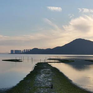 淑芬啊灬啊别停灬用力啊免费视频
